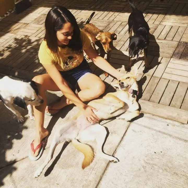 Aura, pet sitter in Amsterdam, photo 3