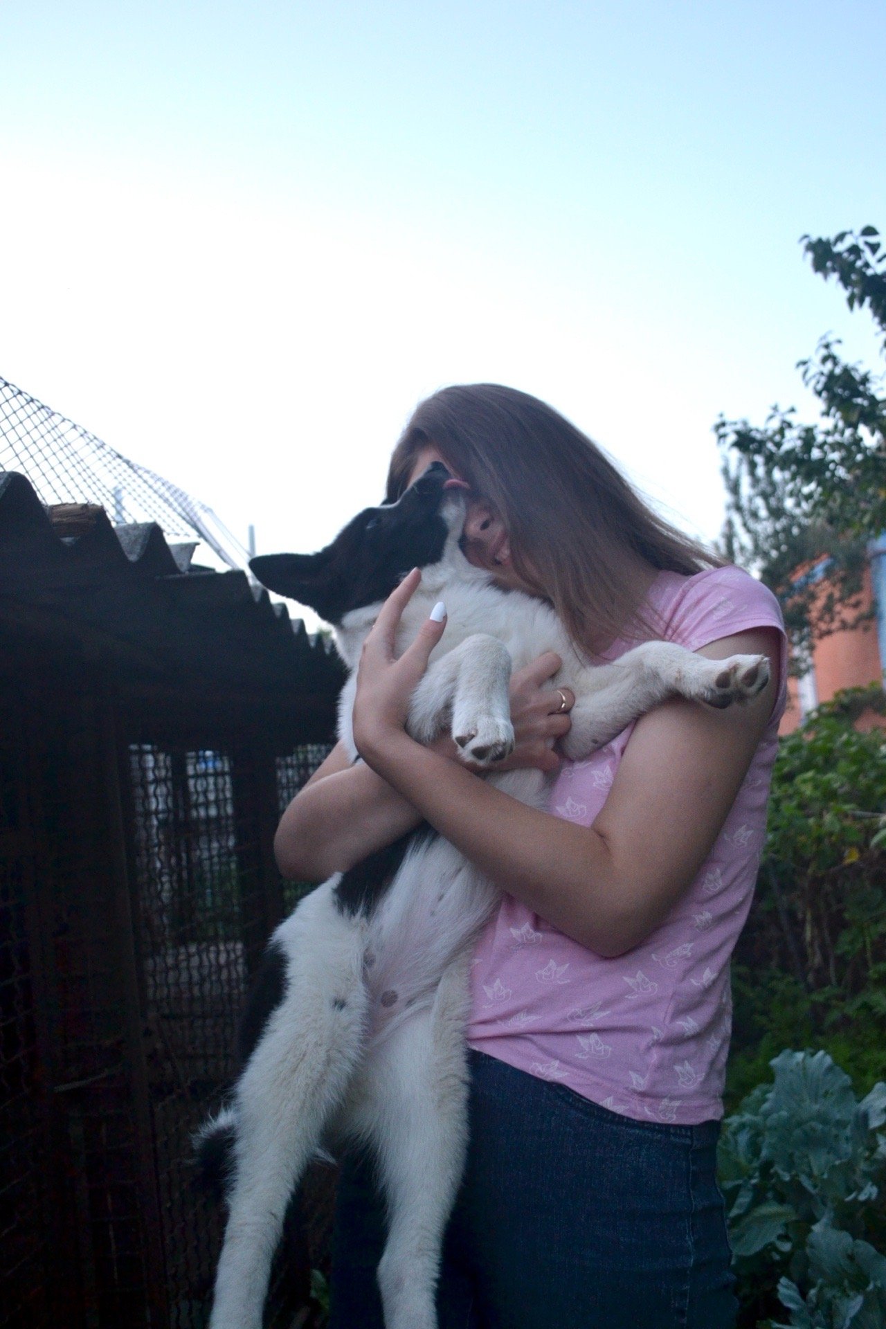 Tetiana, pet sitter in Stuttgart, photo 3