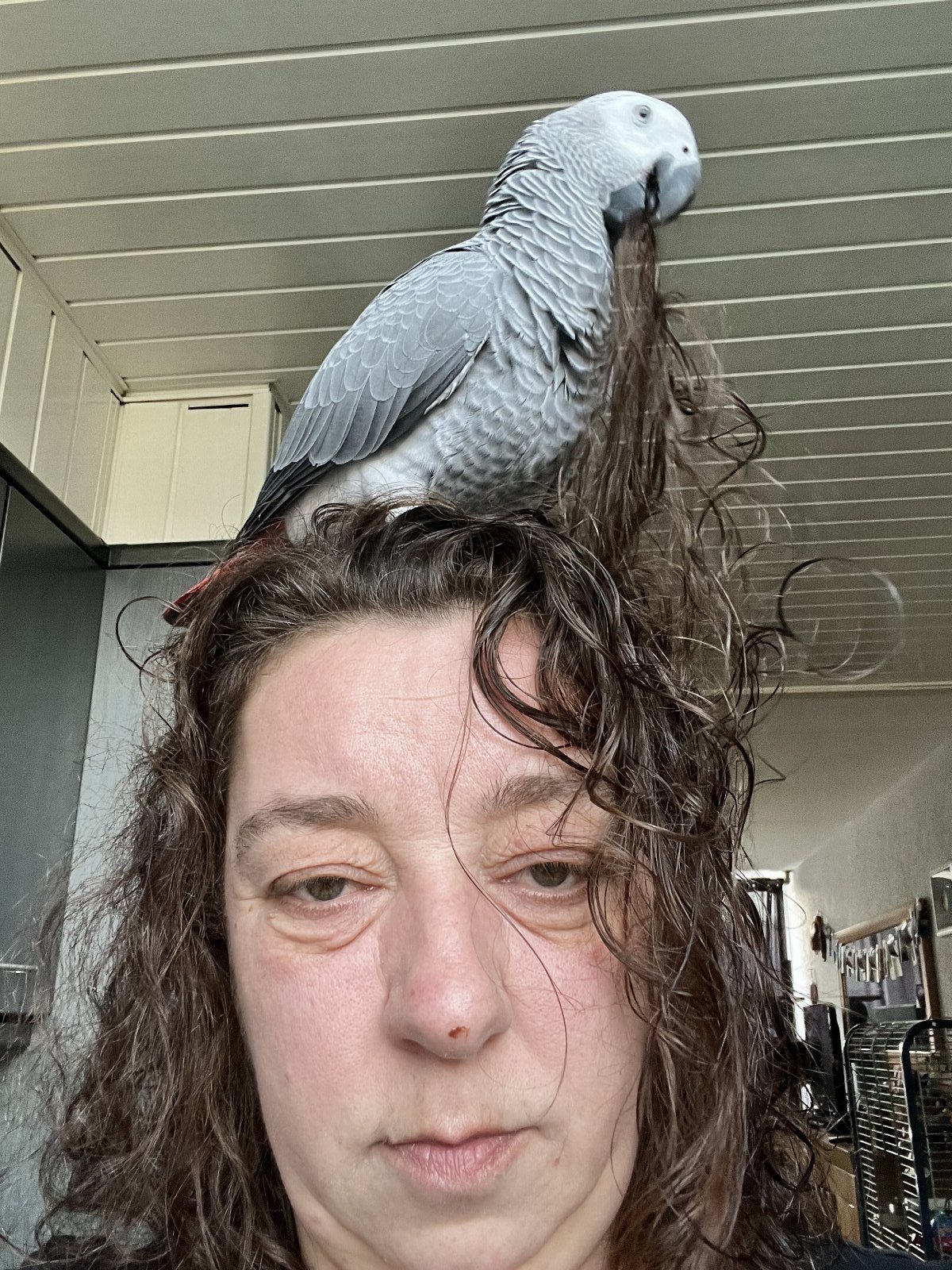 Sabrina, pet sitter in Ouderkerk aan den IJssel, photo 2