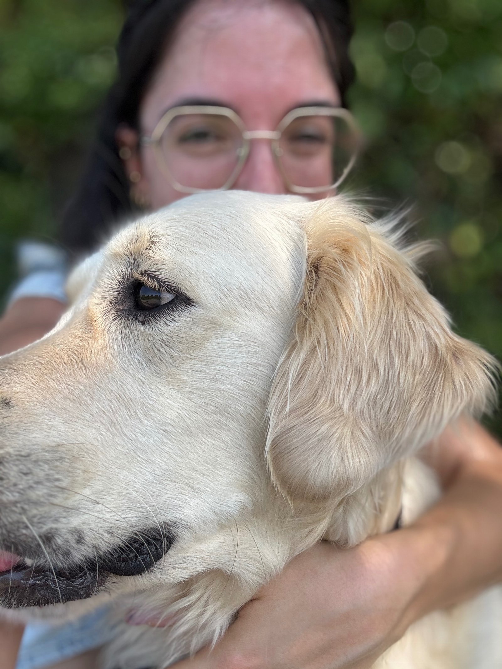Maria Kalypso, pet sitter in Delft, photo 5