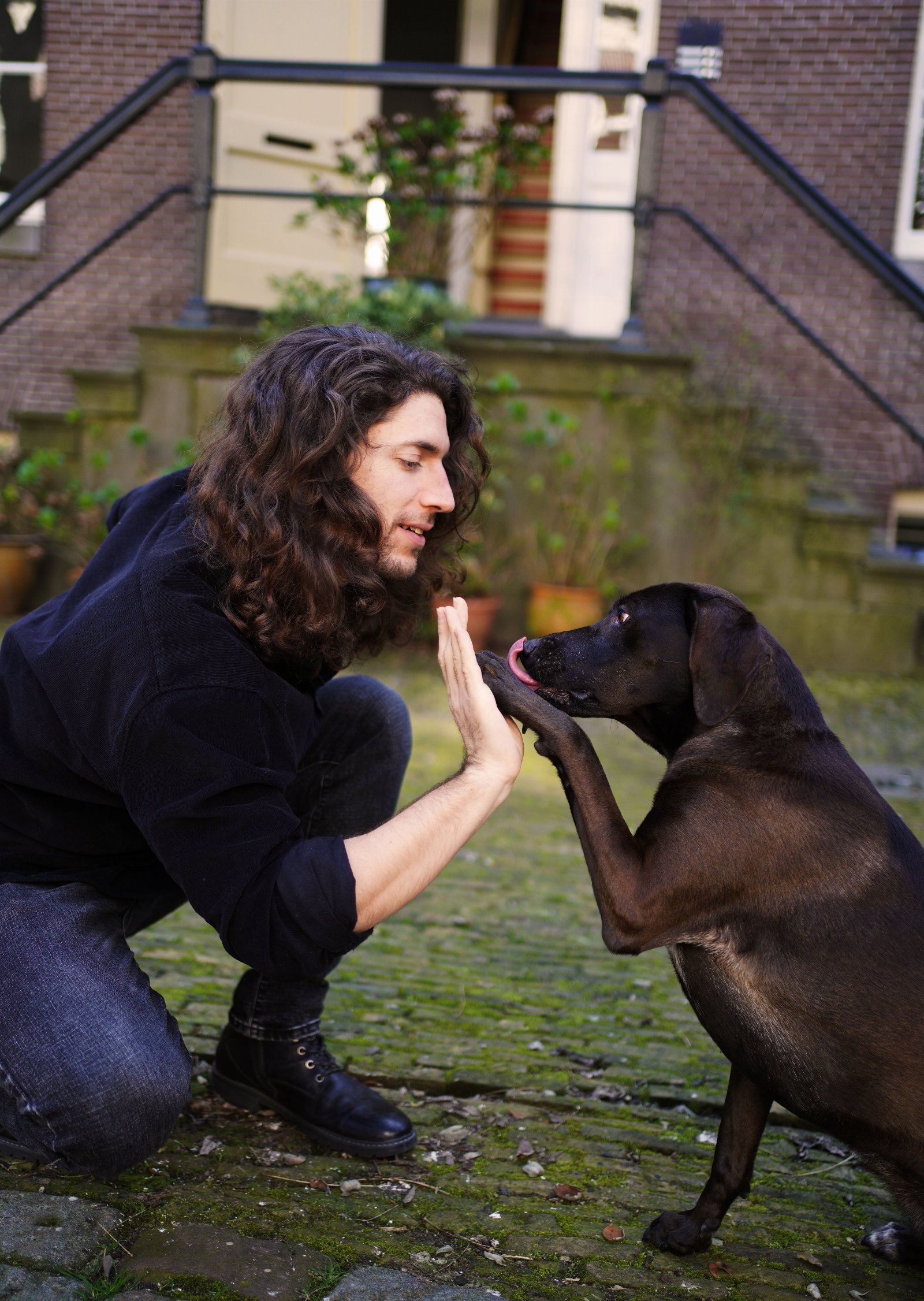 Francesco, pet sitter in Amsterdam, photo 3