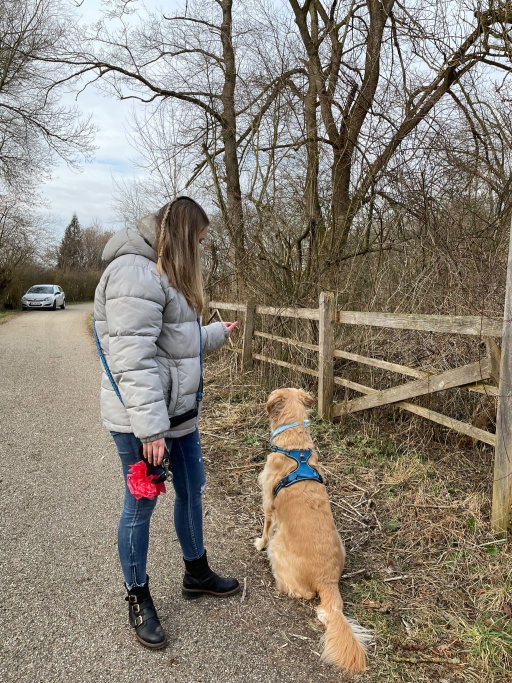 Laura, Tiersitter in Hohenpolding , Foto 5