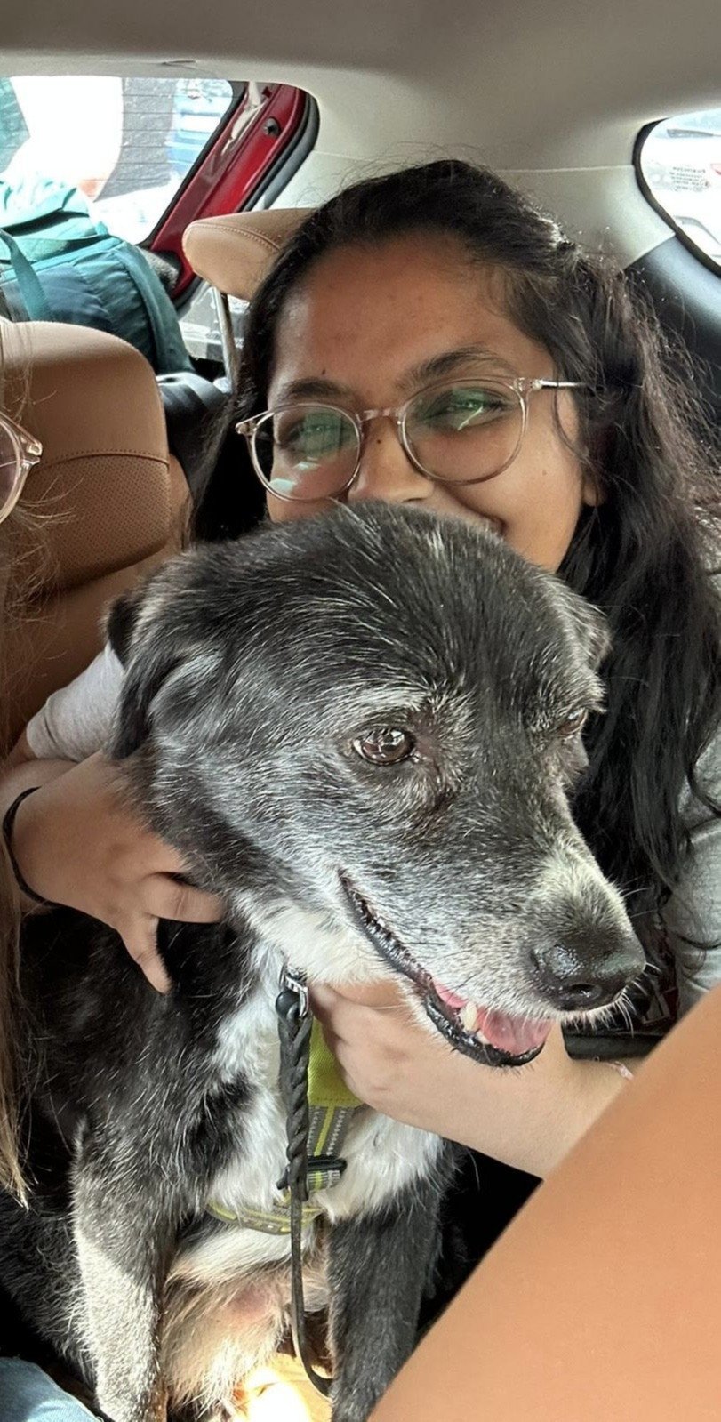 Deepika, pet sitter in Mannheim, photo 5