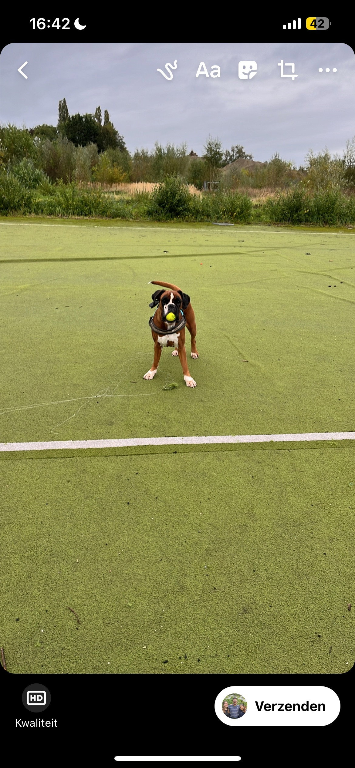 Anais, pet-sitter à Gent, photo 1