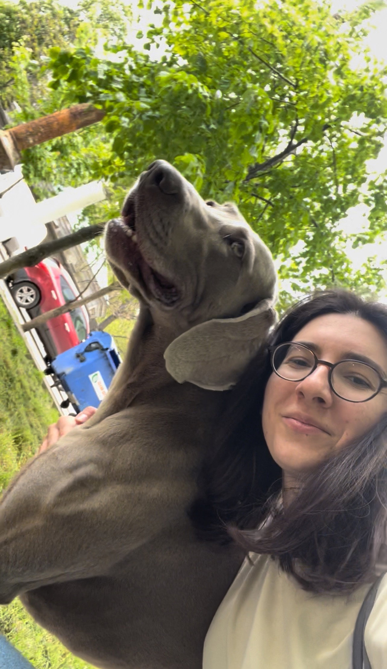 Marina, pet sitter in Amsterdam, photo 3
