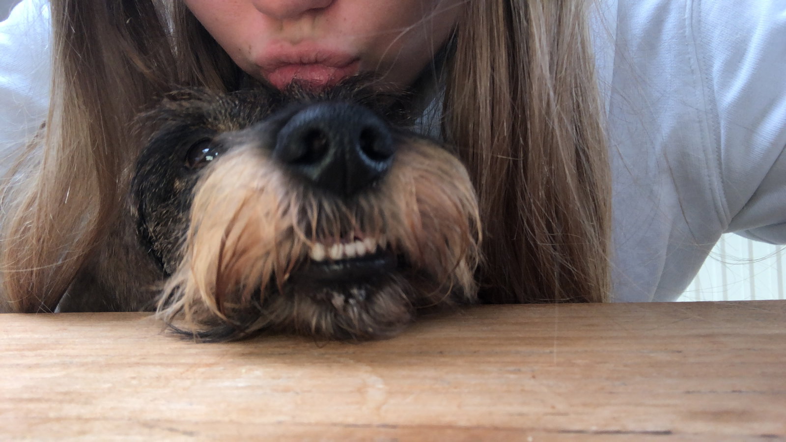 Sam, pet-sitter à rotem, photo 3