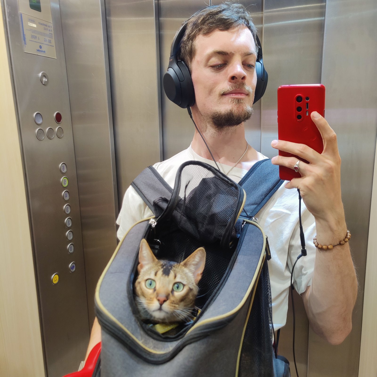 Michael, pet sitter in Geldrop, photo 1