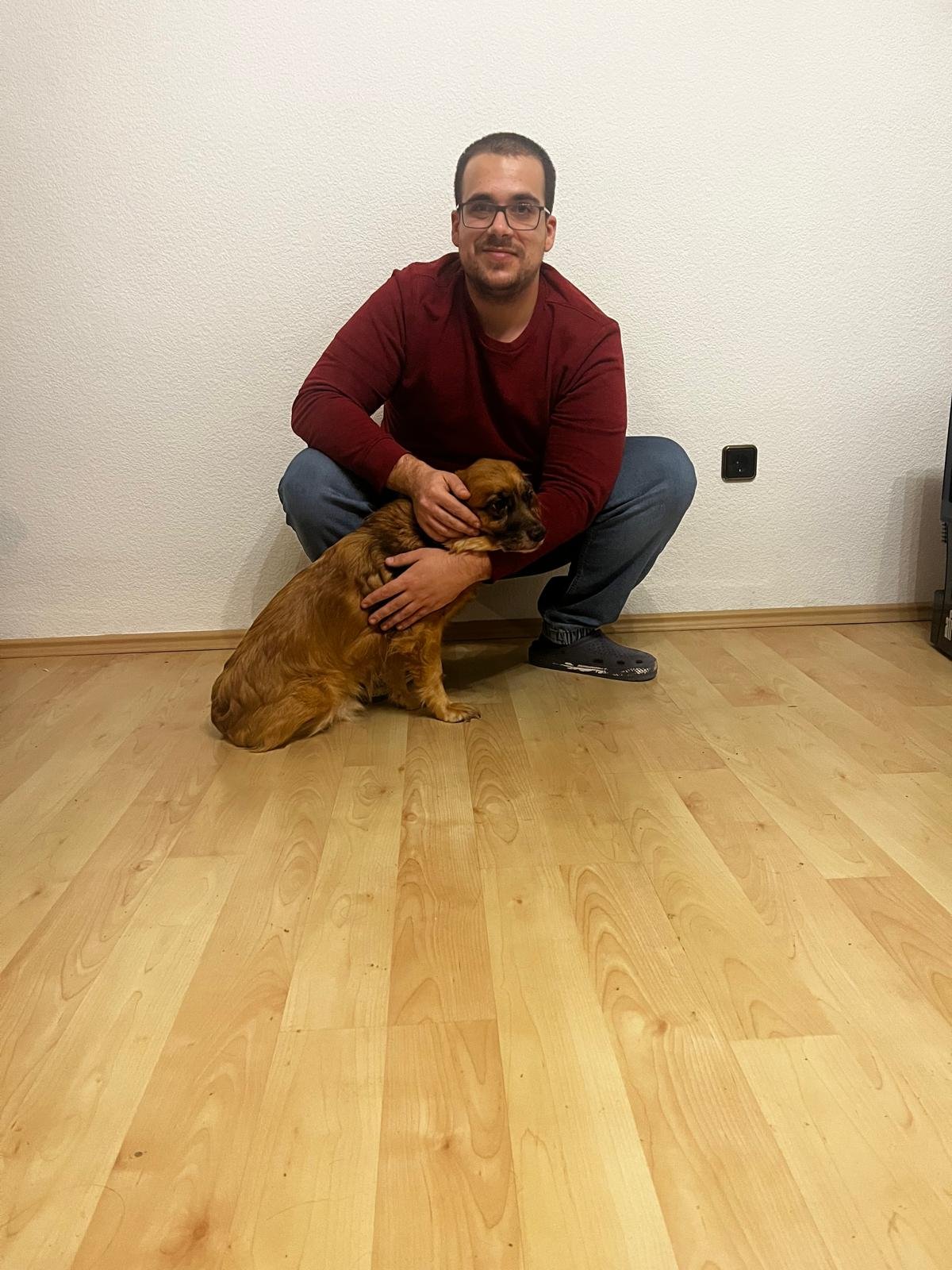 Joel, Tiersitter in Leverkusen, Foto 4