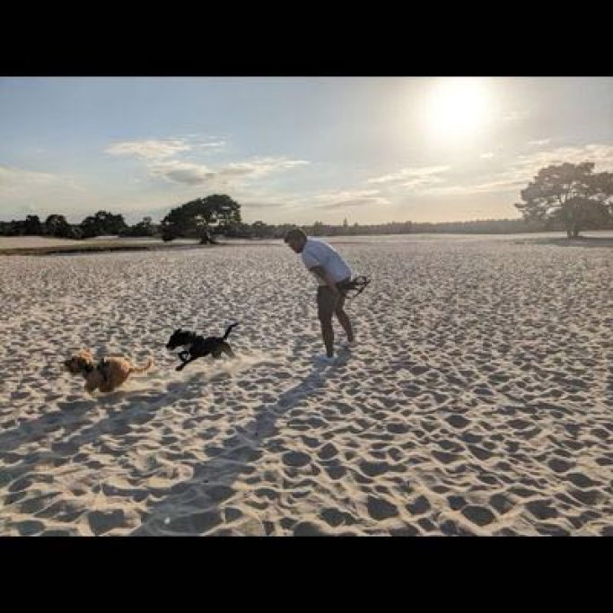 Gautham, pet sitter in Amsterdam, photo 2