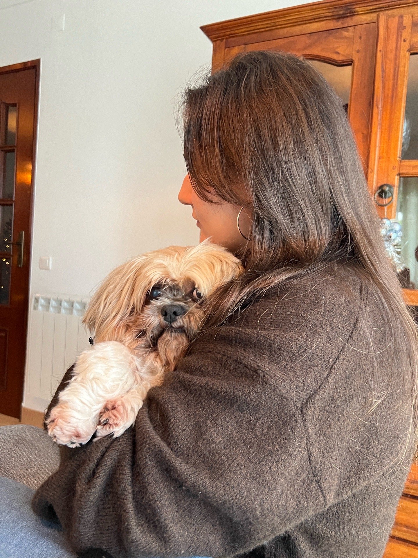 Alessandra, pet sitter in Amsterdam, photo 4