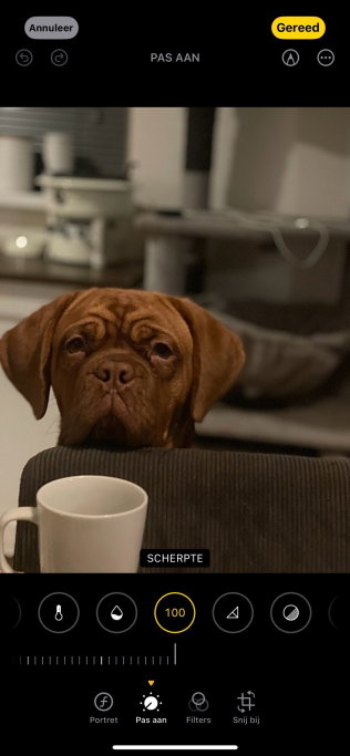 Nayela, pet sitter in Hekelingen, photo 2