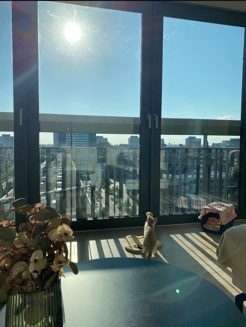 Oumnia, dierenoppas in Amsterdam, foto 1