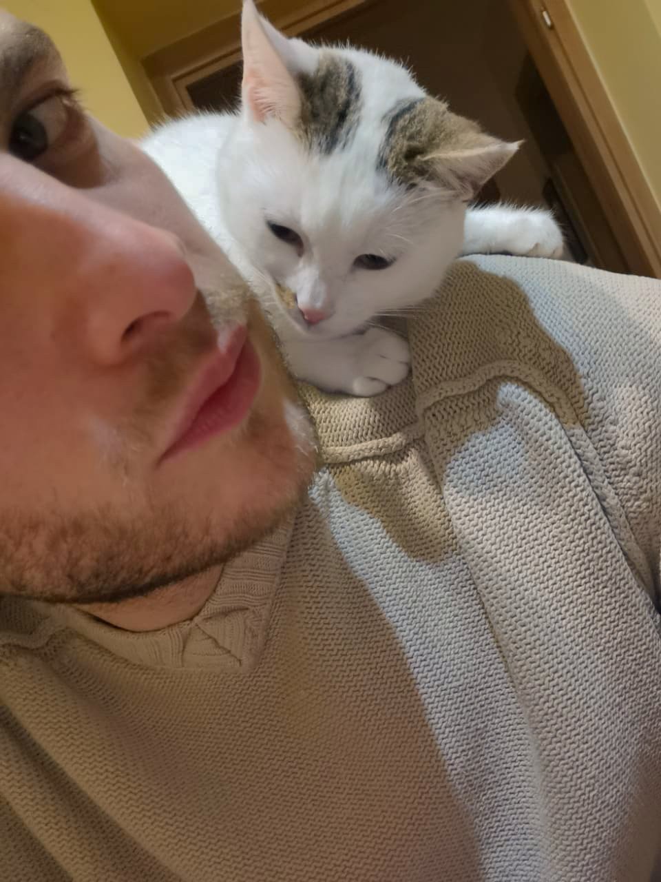 Nico, pet sitter in Diemen, photo 2