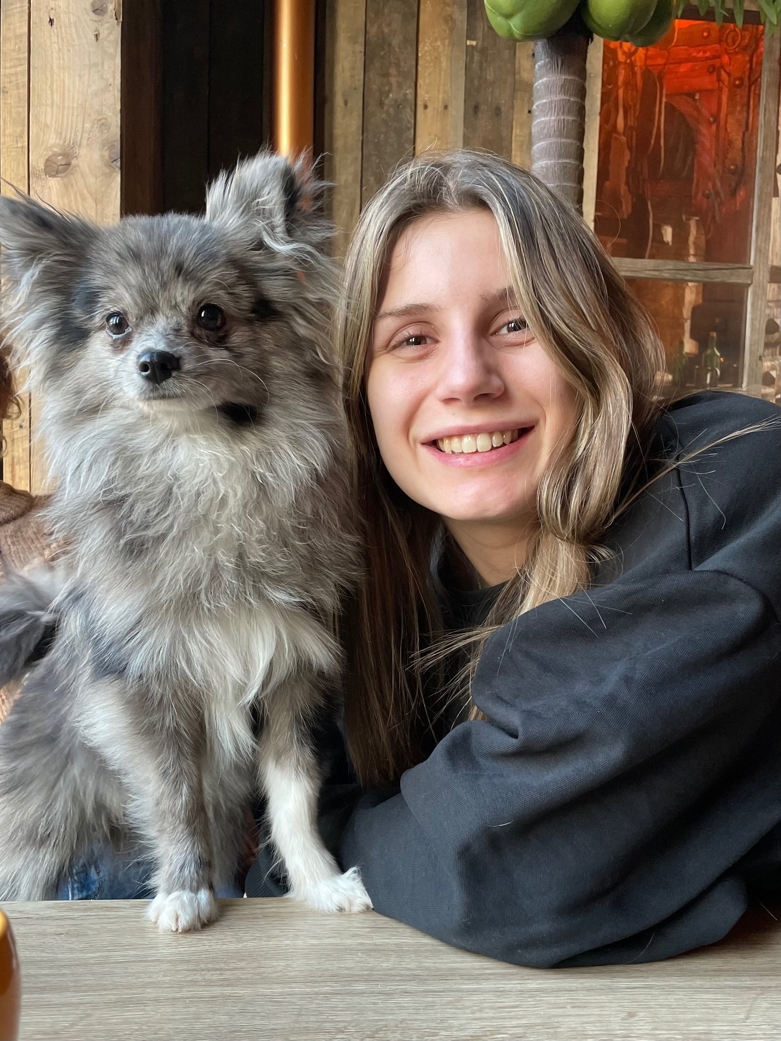 Indy, pet sitter in Den Haag, photo 2