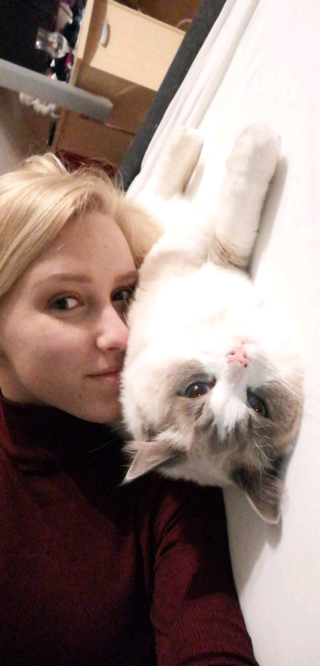 Indy, pet sitter in Best, photo 2