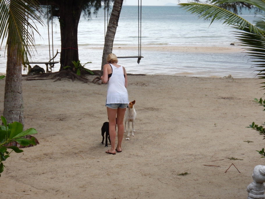 Diana, pet sitter in Berg en Dal, photo 3