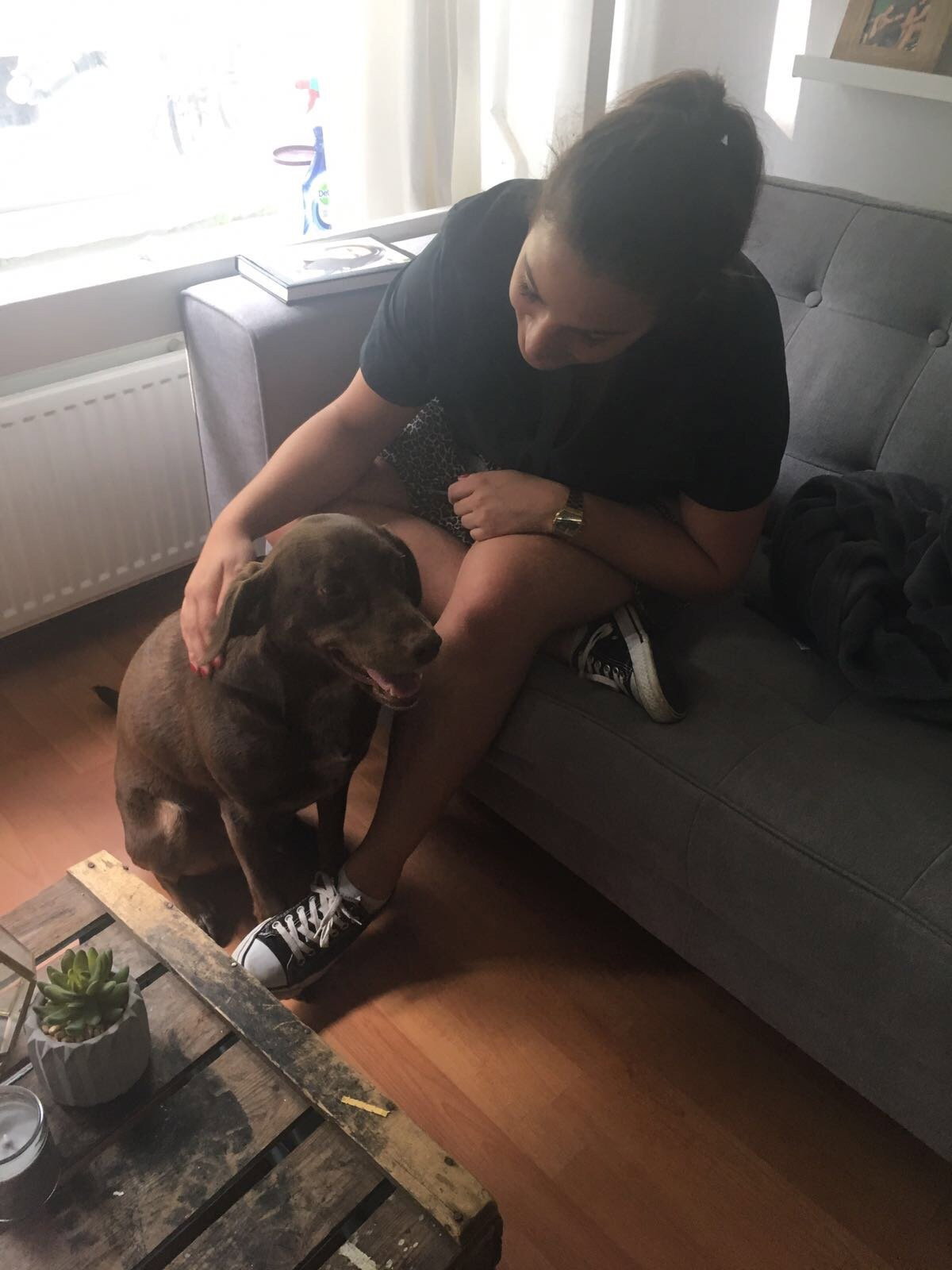 Chanel, pet sitter in Amsterdam, photo 1