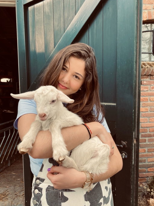 Maartje, pet sitter in Amsterdam, photo 2