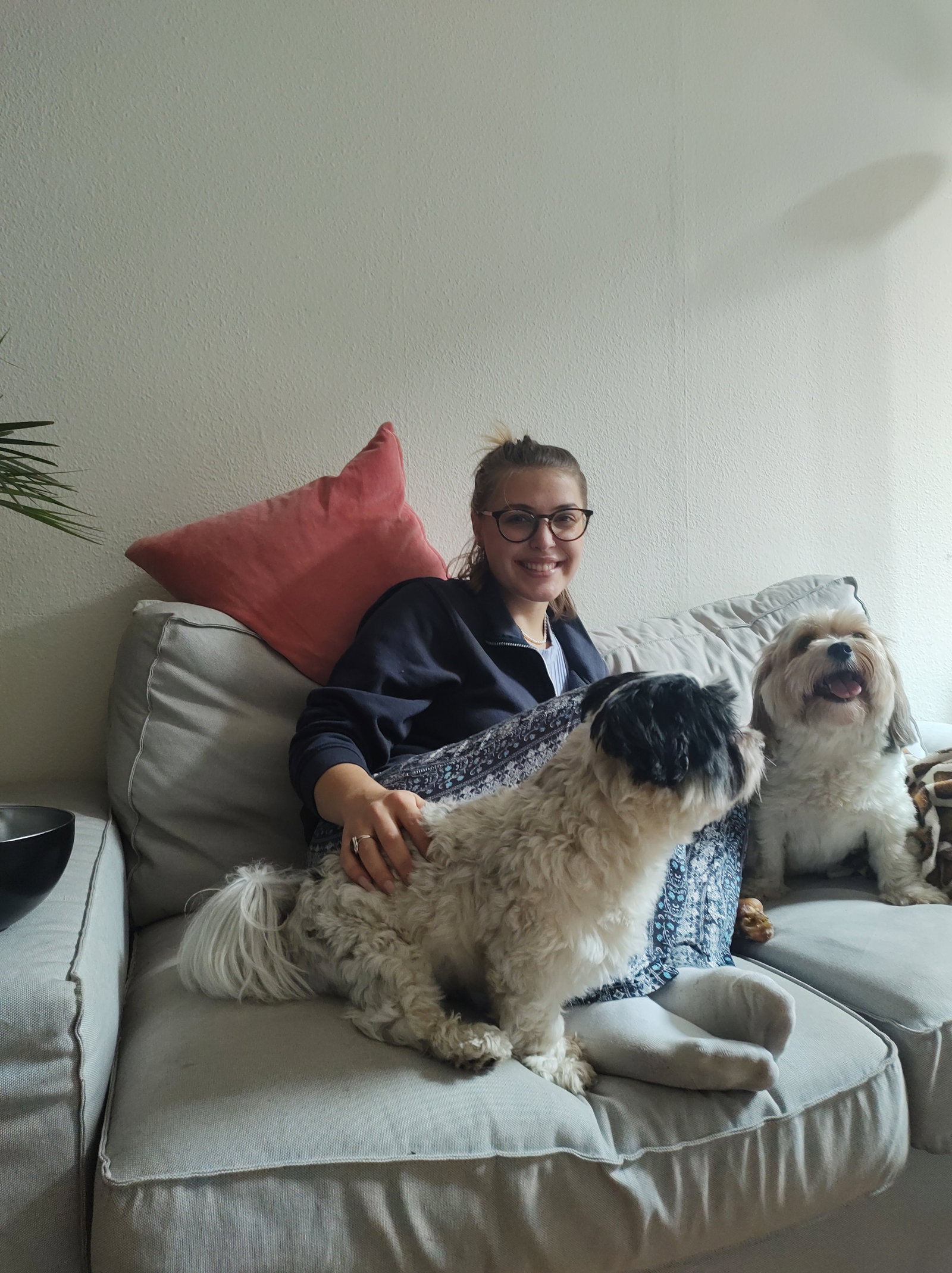 Wanda, pet sitter in Berlin, photo 5