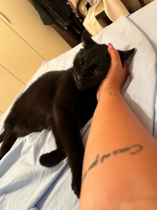 Irene, pet sitter in Breda, photo 4