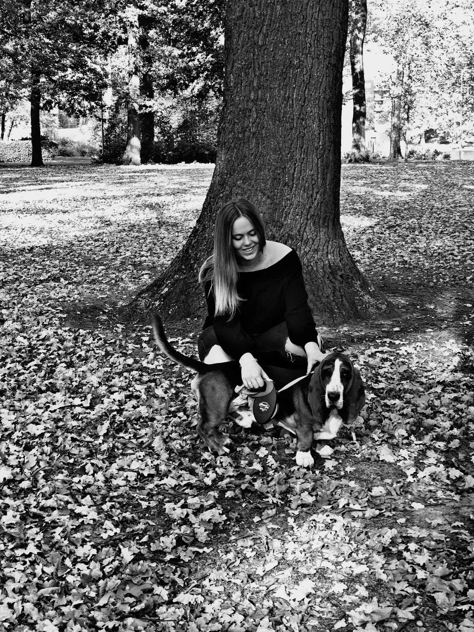 Sam, pet-sitter à rotem, photo 1