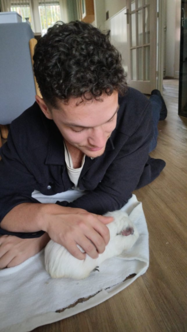 Tamara En Laurens, pet sitter in Zwolle, photo 4