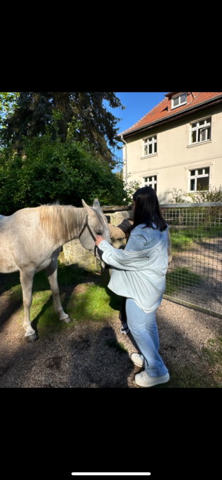 Darya, pet sitter in Frankfurt am Main, photo 3