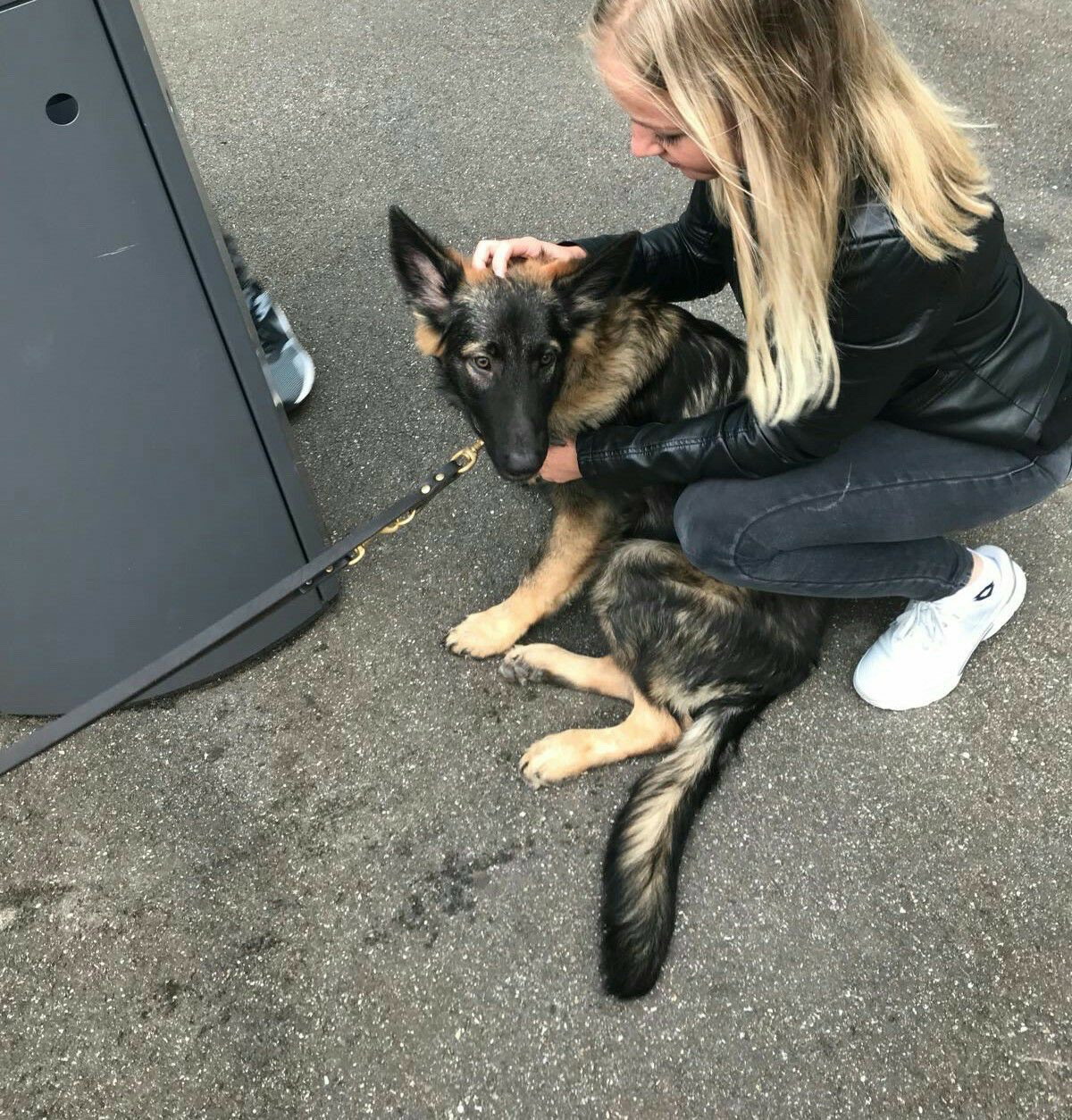 Michelle, pet sitter in Groot-Ammers, photo 2