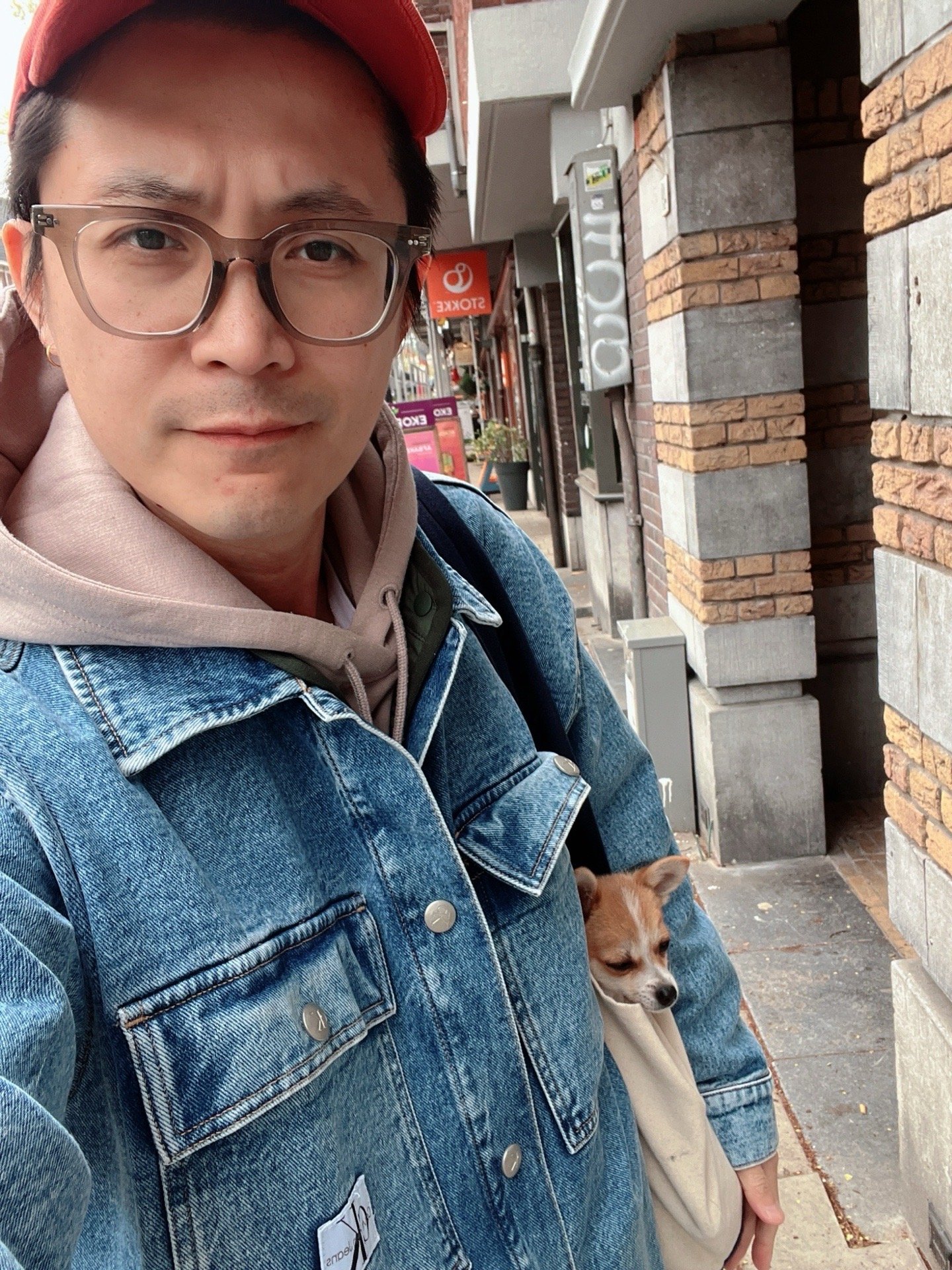 Kevin, dierenoppas in Amsterdam, foto 4