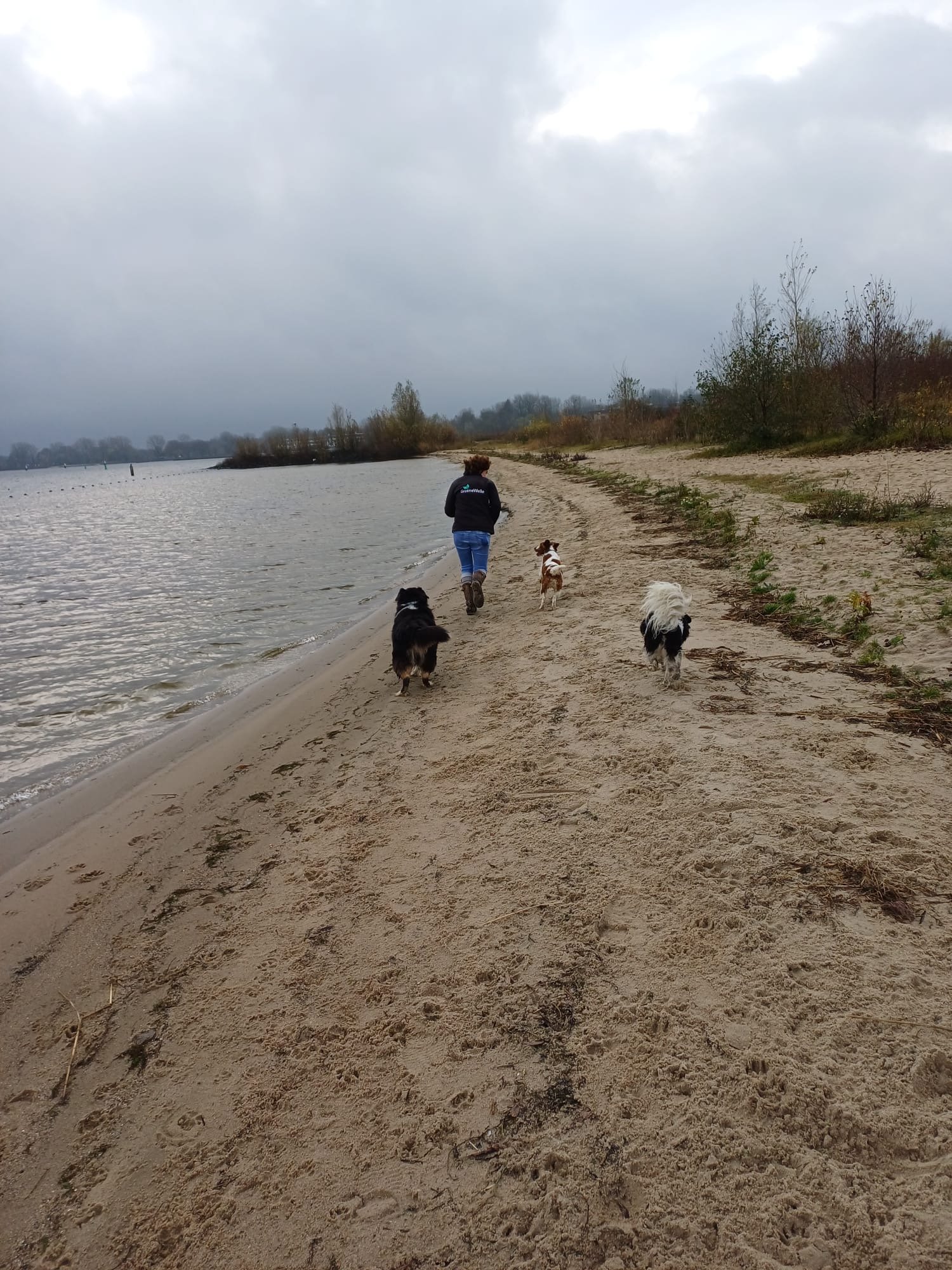 Louise, pet sitter in Nederhorst den Berg, photo 1