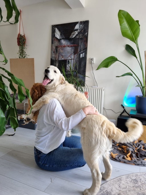 Chanel, pet sitter in Alphen aan den rijn, photo 1