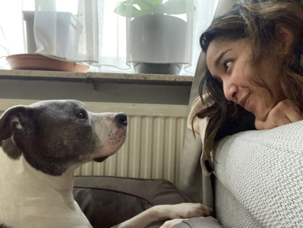 Dimple, pet sitter in Rotterdam, photo 1