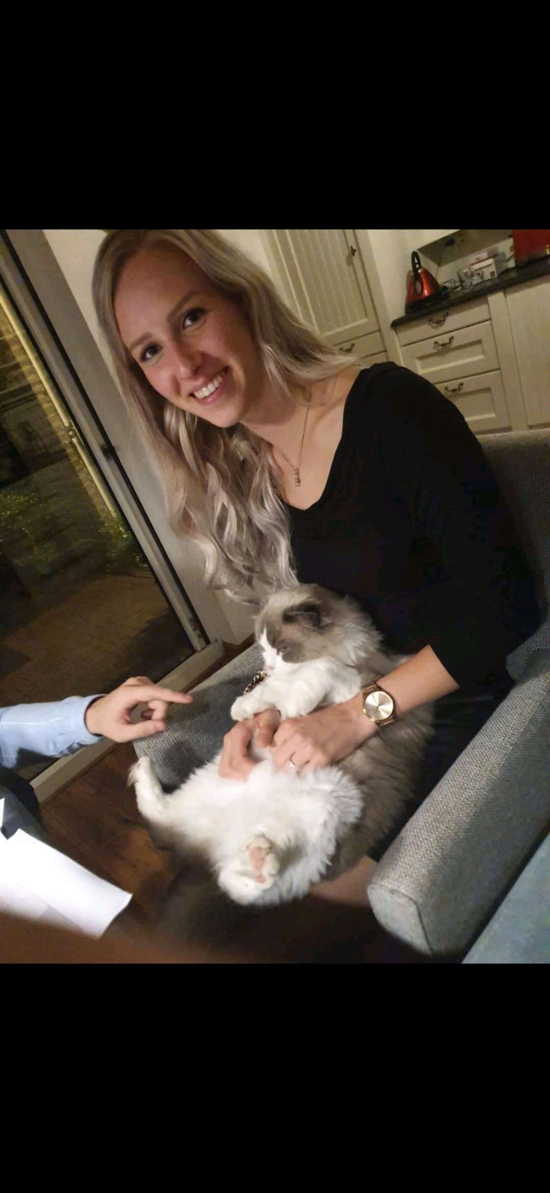 Indy, pet sitter in Best, photo 1