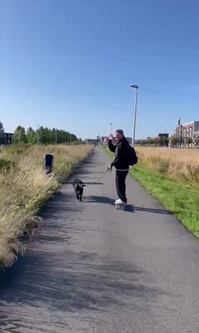 Dennis, pet sitter in Utrecht, photo 4