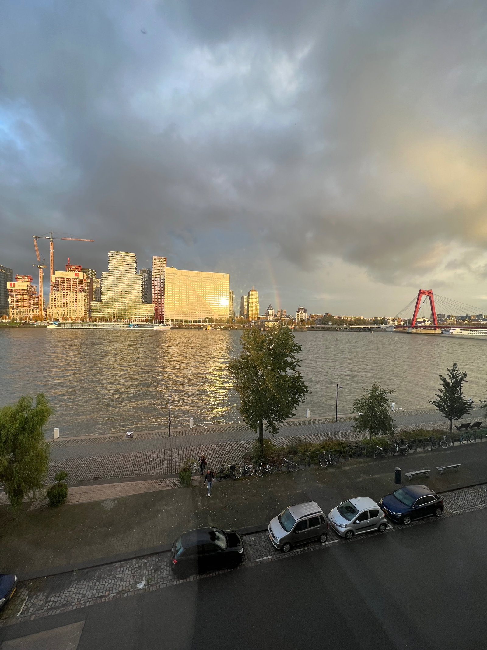 Sofia and Tiago, pet sitter in Rotterdam, photo 4