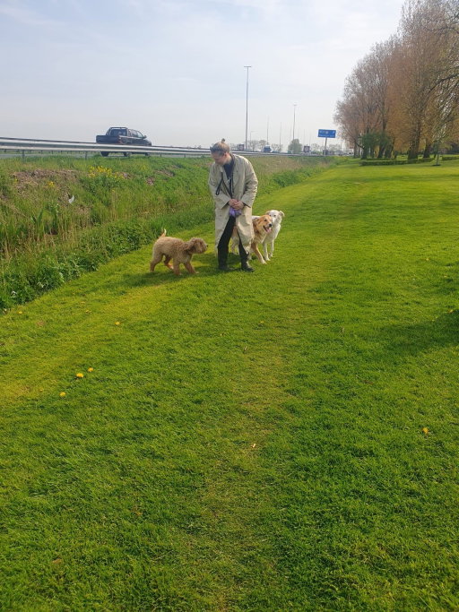 vita, pet sitter in Amsterdam, photo 2