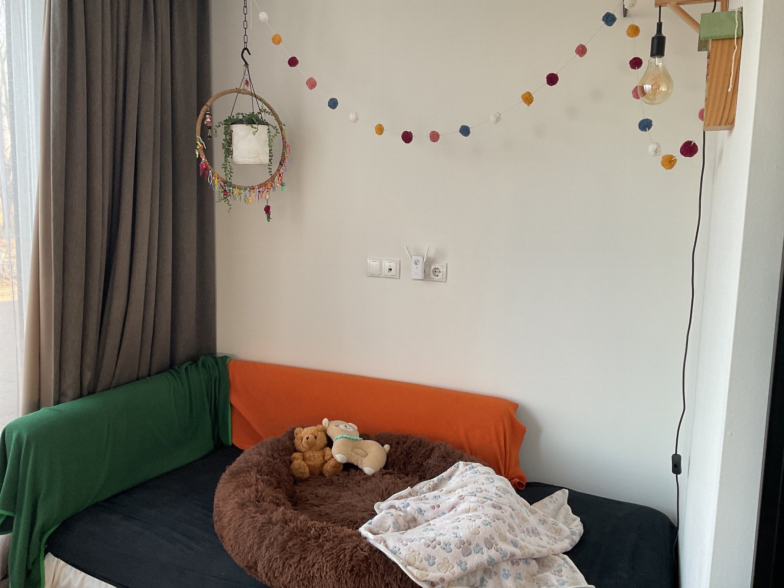 Claar, pet sitter in Tilburg, photo 3