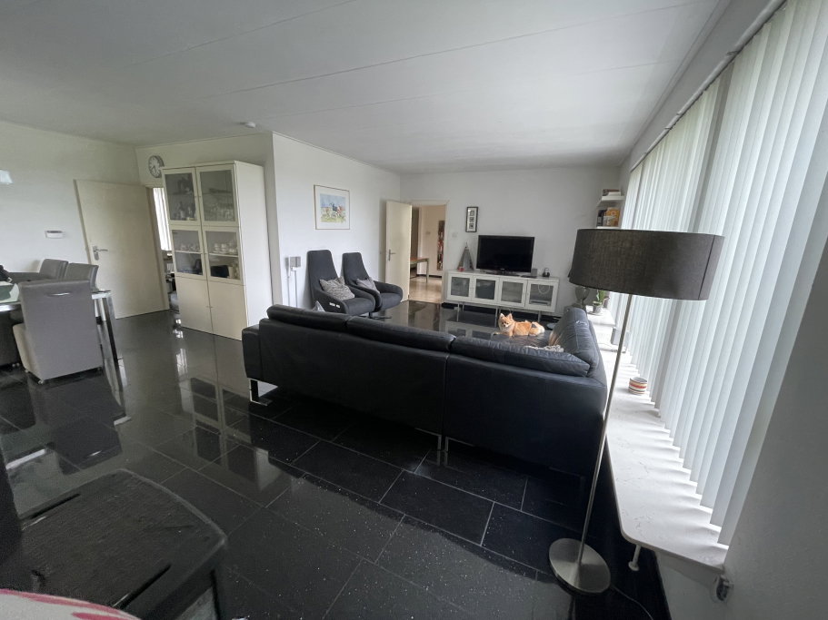 yvonne, pet sitter in Broekhuizen, photo 1