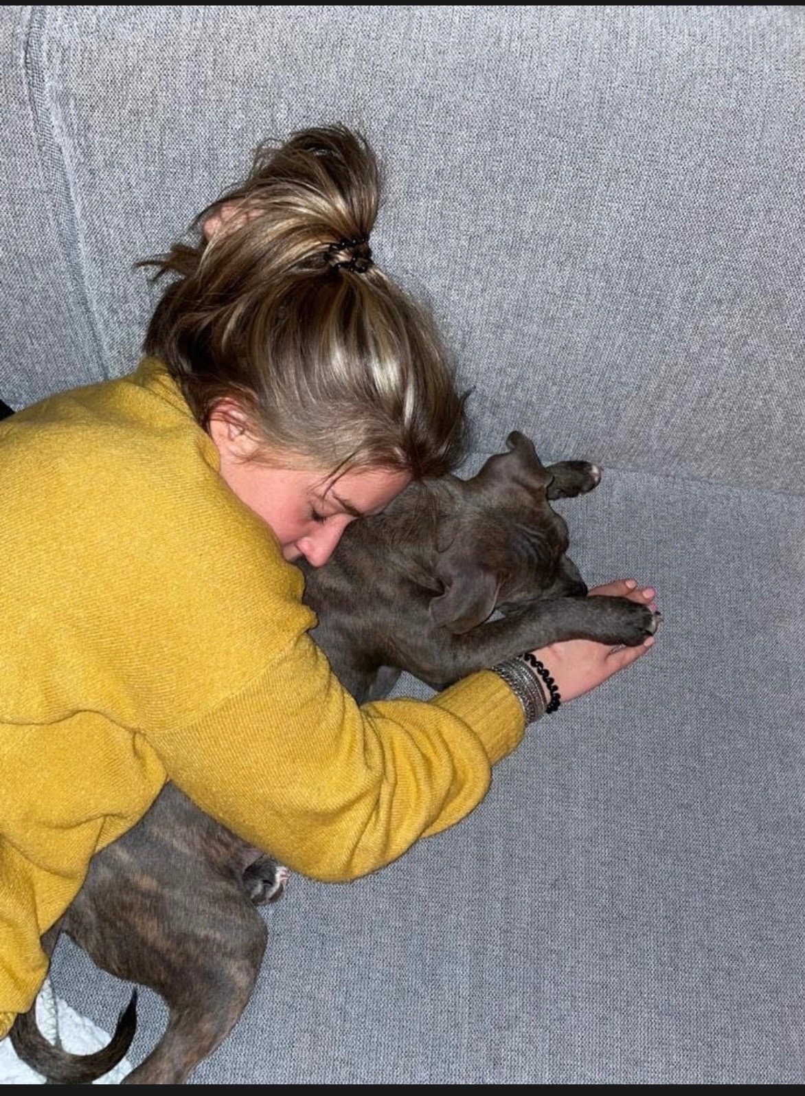 Tara, pet sitter in Mijdrecht, photo 3