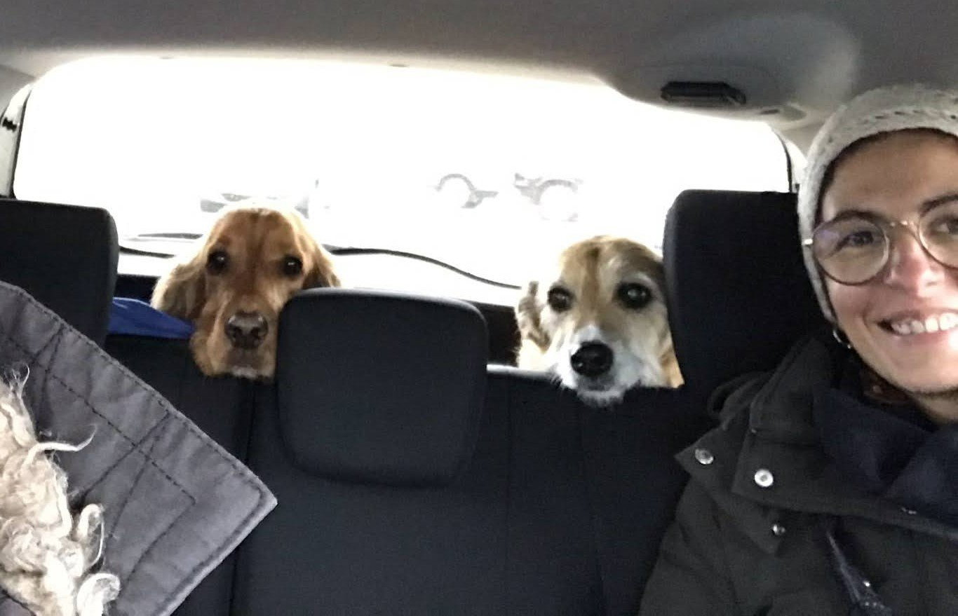 Pedro and Gi, pet sitter in Amsterdam, photo 5