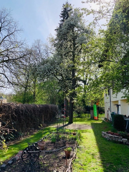 Kathrin, Tiersitter in Berlin, Foto 3