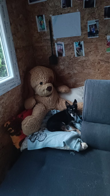 Jeanett, Tiersitter in Bremen, Foto 2