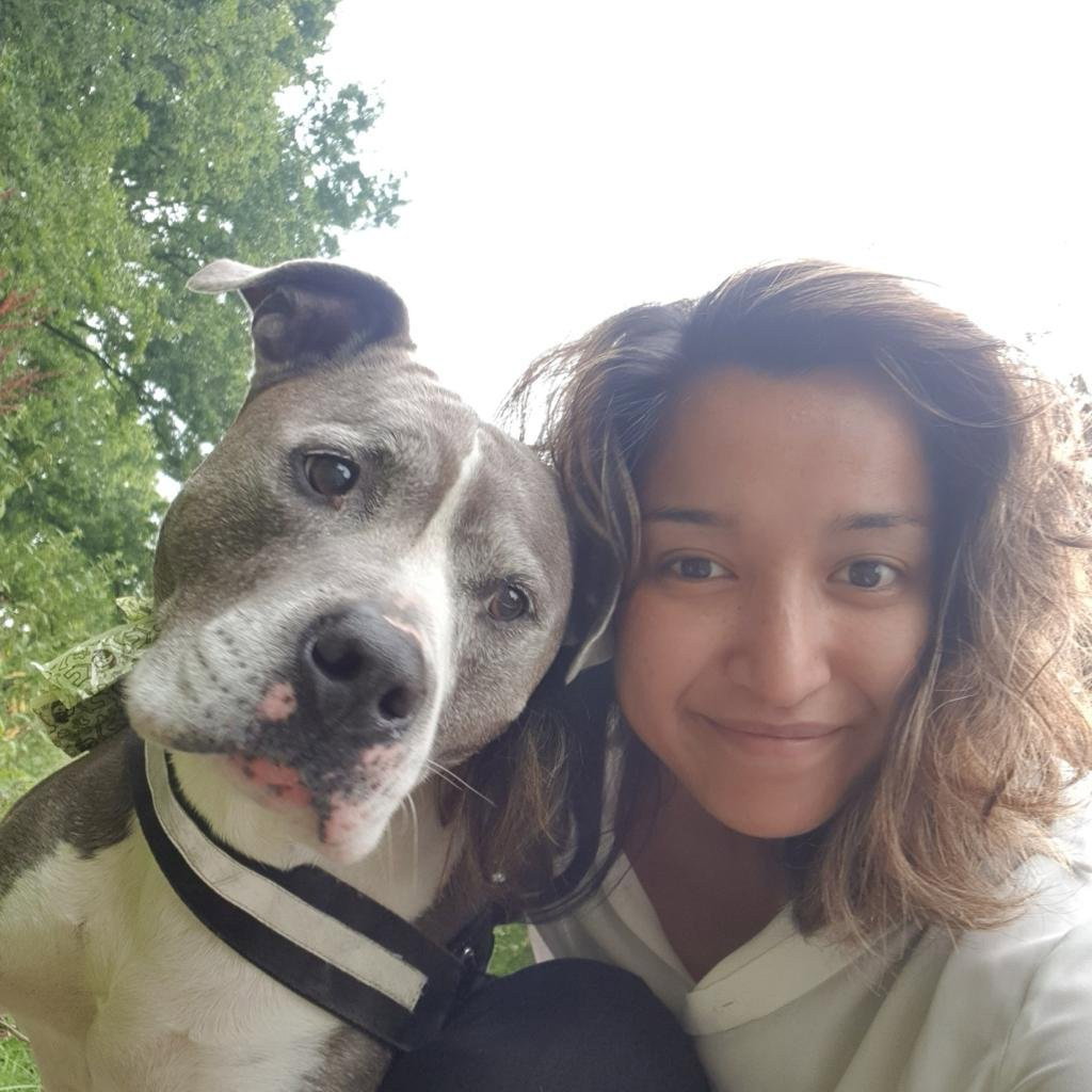Dimple, pet sitter in Rotterdam, photo 2