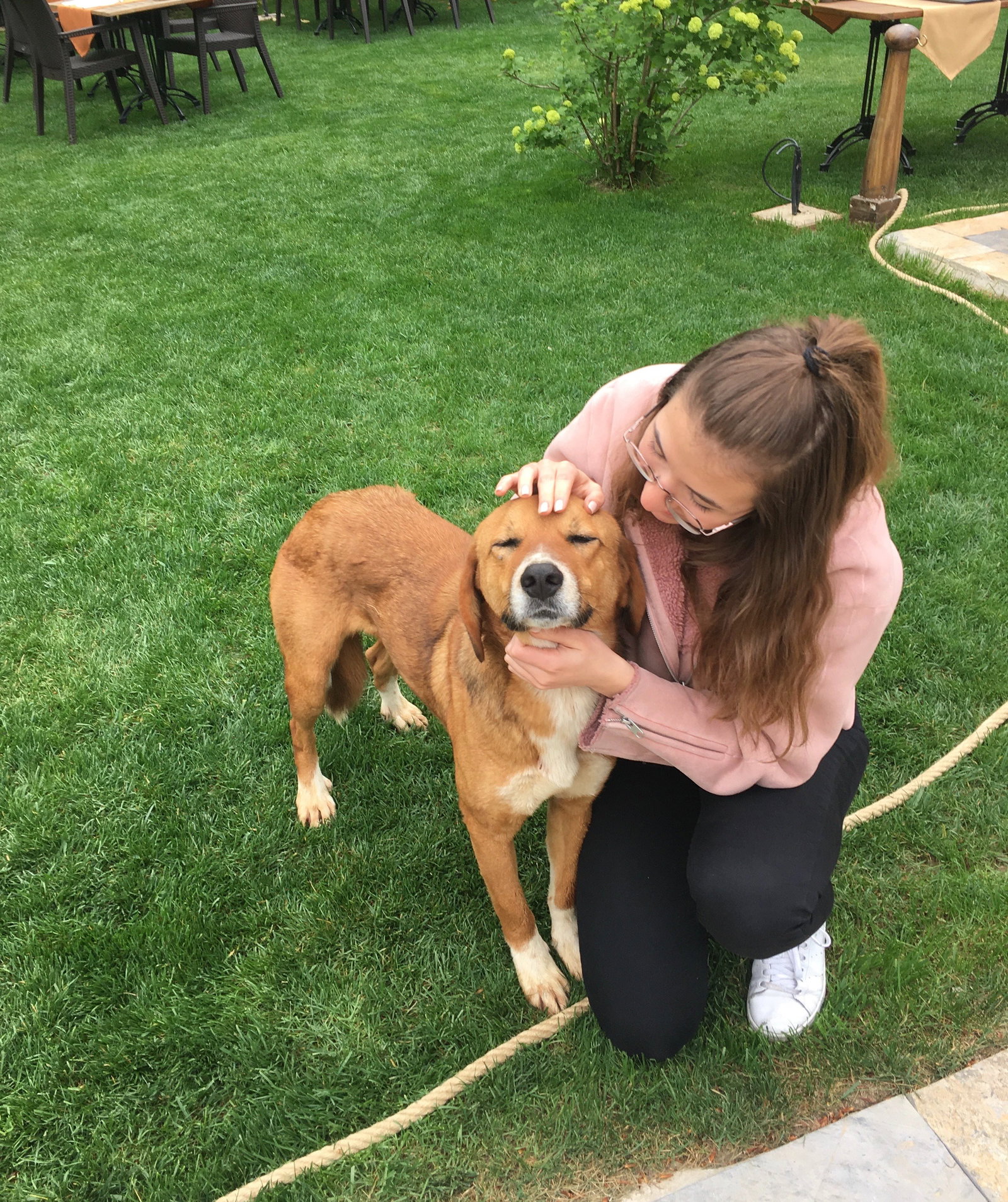 Melis, pet sitter in Amsterdam, photo 1