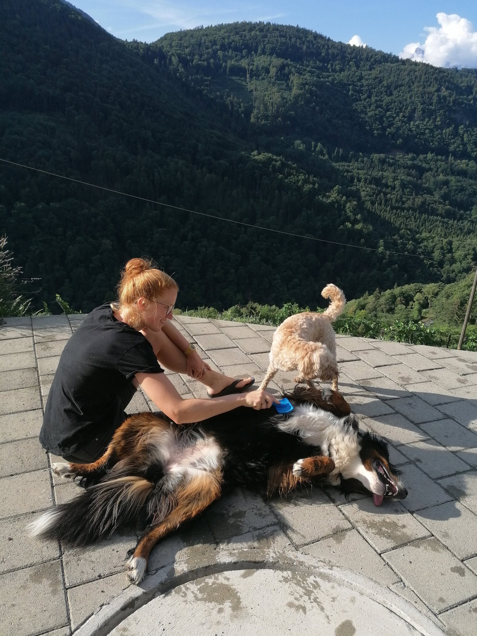 Moniek, pet sitter in Nieuwegein , photo 2