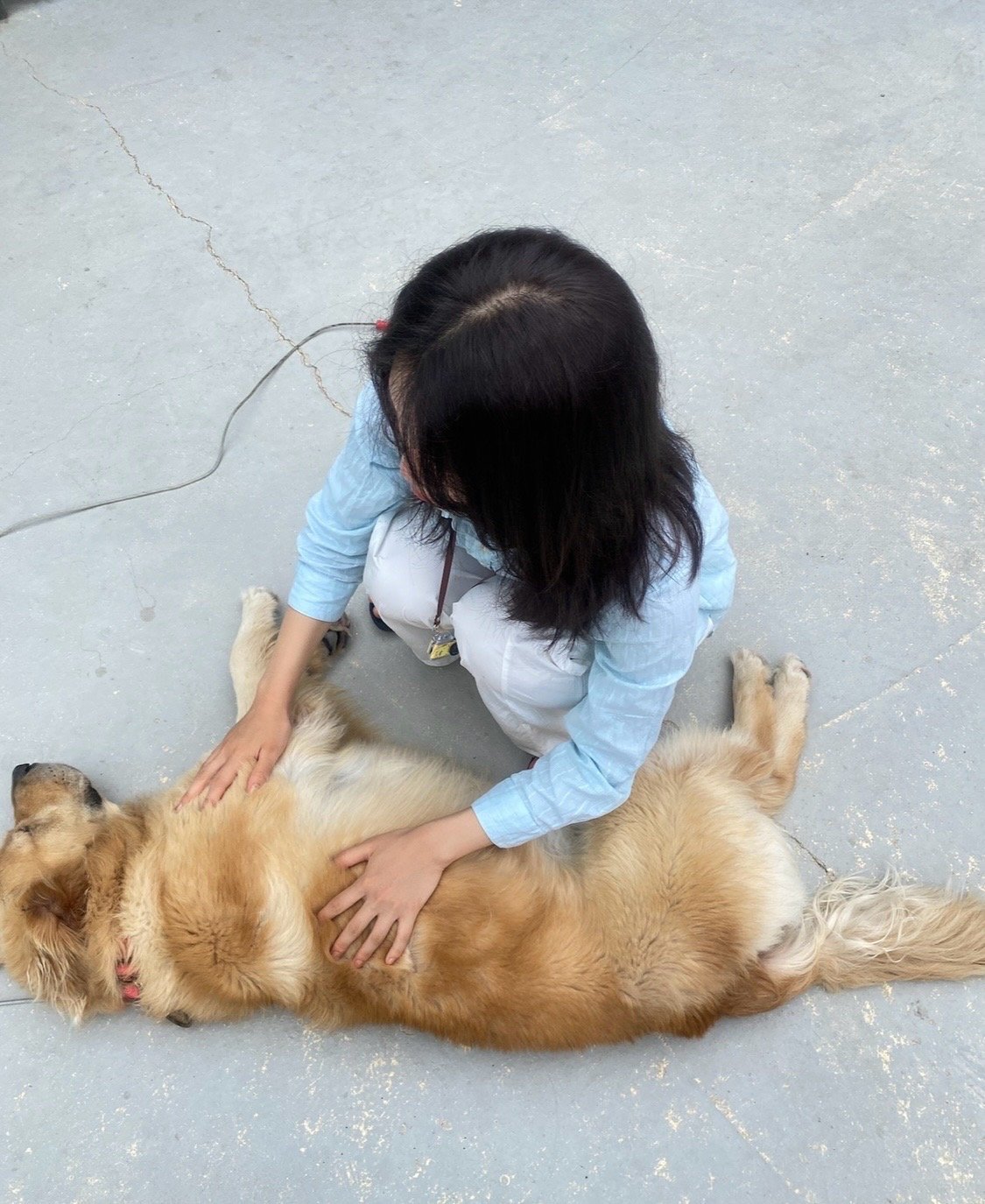 Chaemee, pet sitter in Eindhoven, photo 3