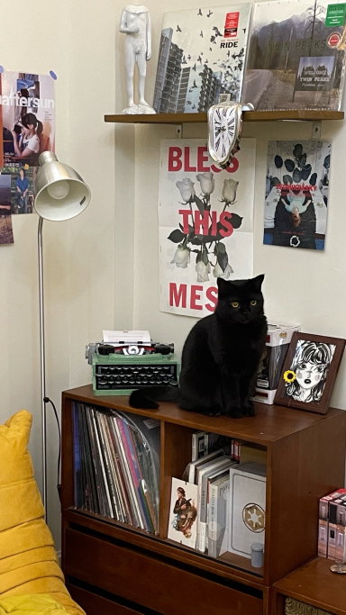 Florence, pet sitter in Amsterdam, photo 1