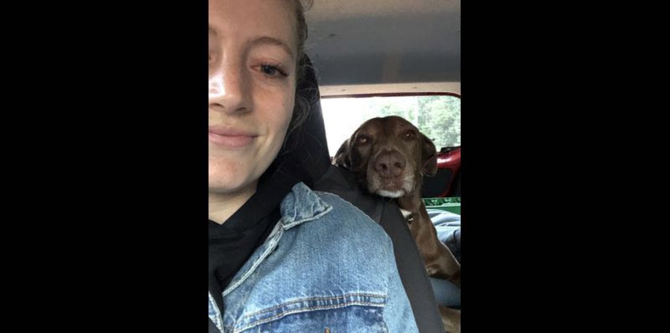 Lieke, pet sitter in Utrecht, photo 2