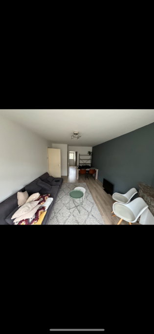 Paul, pet sitter in Amsterdam, photo 3