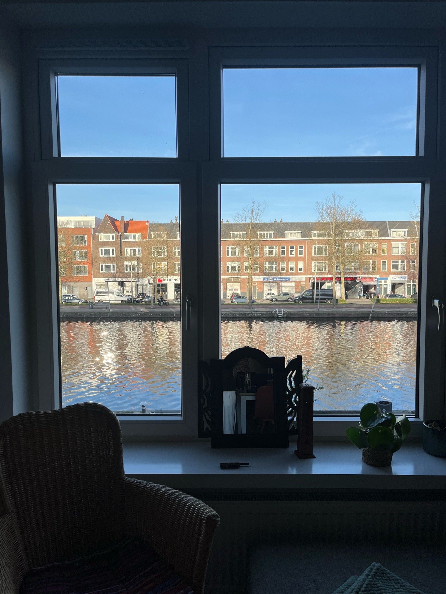 Maiara, dierenoppas in Rotterdam, foto 2